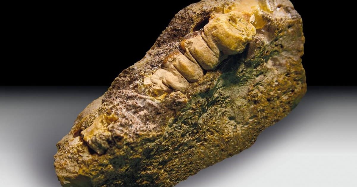 w8IOgBscG 1200x630 1