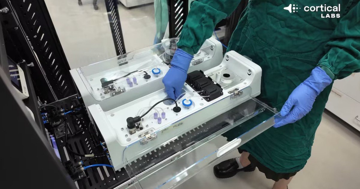 zmmbx RwM 1200x630 1