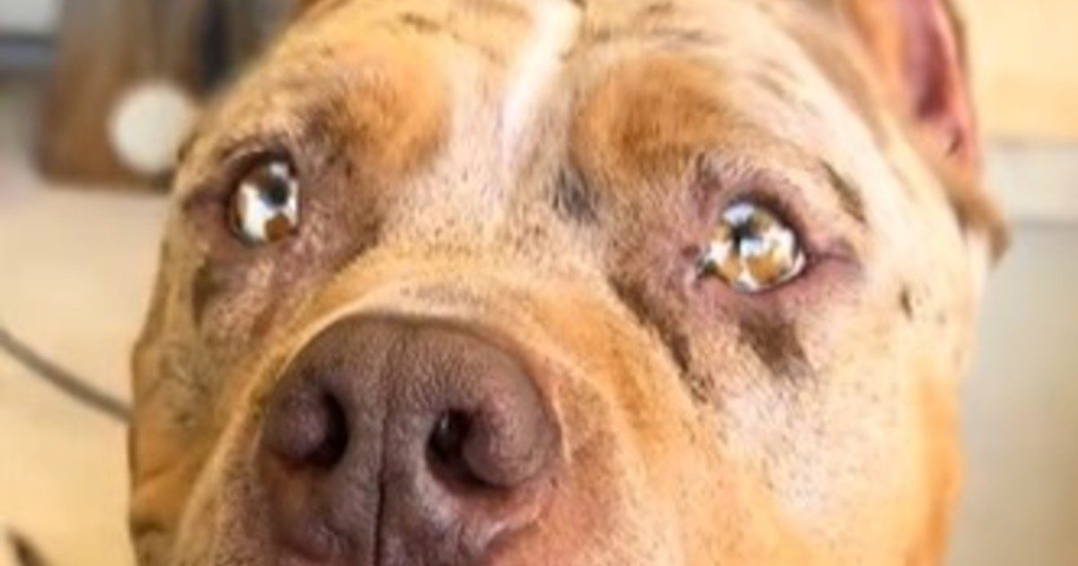 v6DICp4Nk 1200x630 1