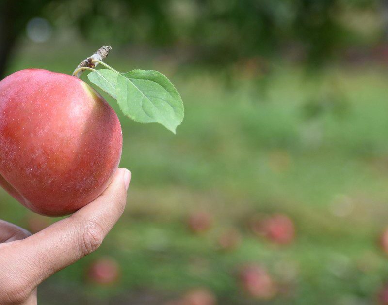 xI9iZSN06 1200x630 1