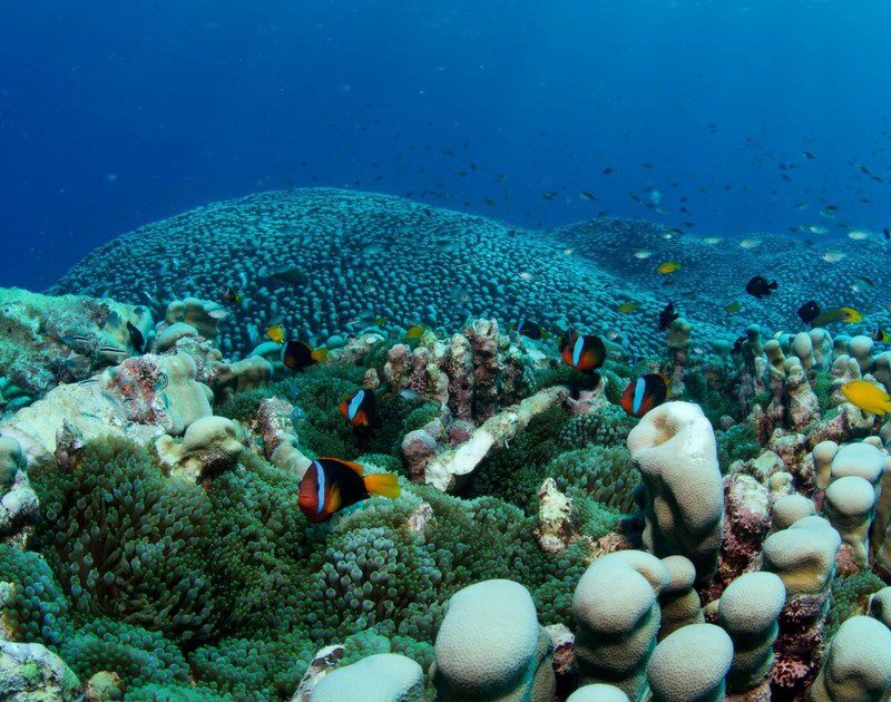 zteToAY28 1200x630 1