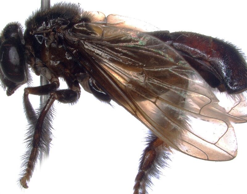 4sCiL7hop 1200x630 1