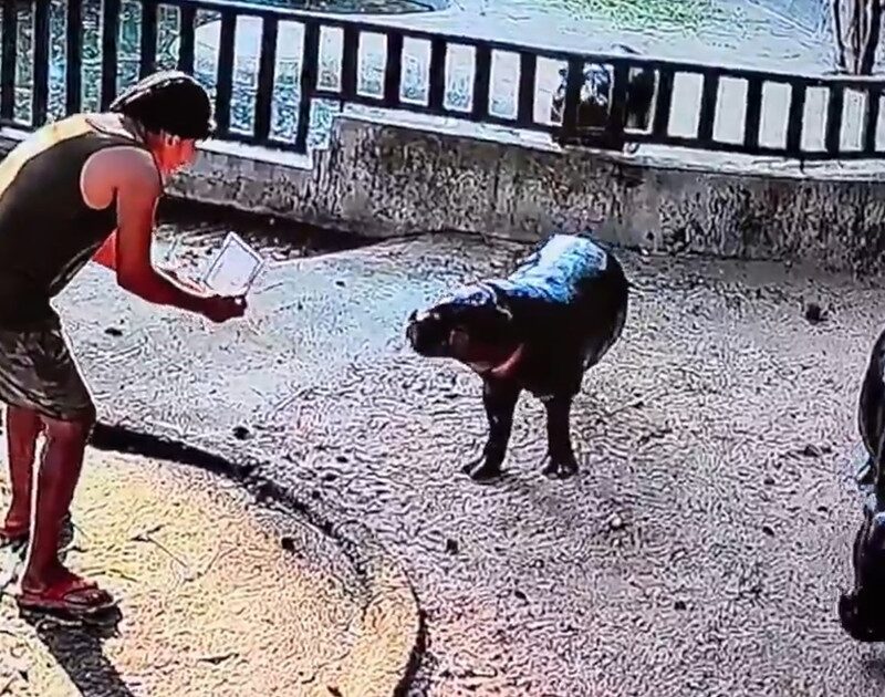 7b24LDMFH 1200x630 1