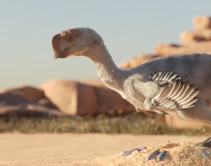 90TTHChDB 1200x630 1