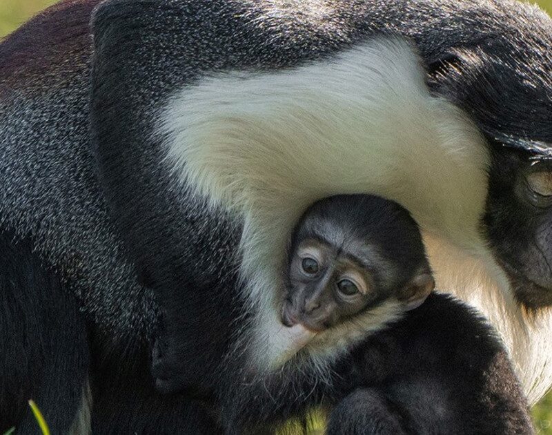 FbCw u4kw 1200x630 1