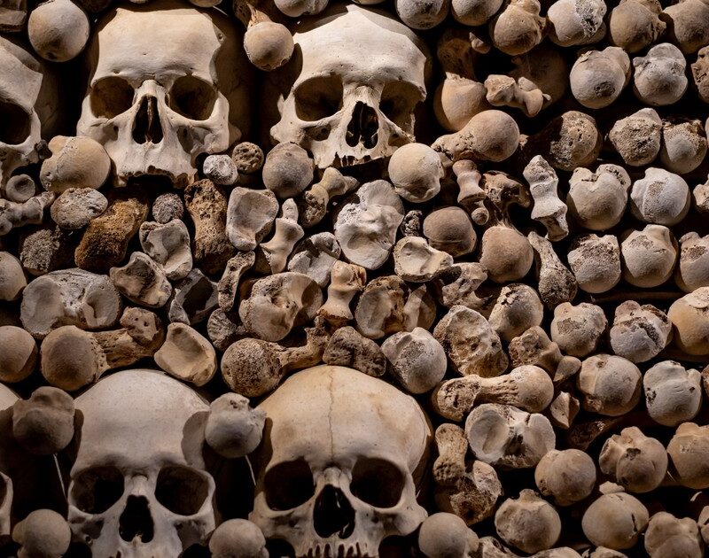 LlK8nMhdQ 1200x630 1