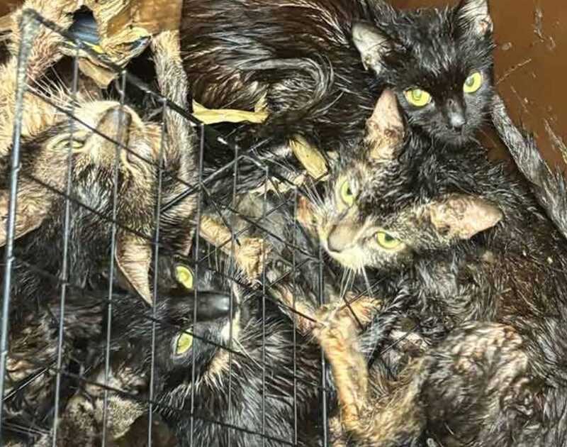 MGitnMtAV 1200x630 1