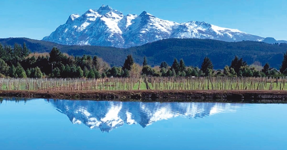 MGnMSKYzb 1200x630 1