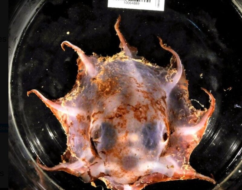 MeAiZUxW9 1200x630 1