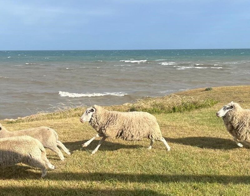 NBdC9arky 1200x630 1