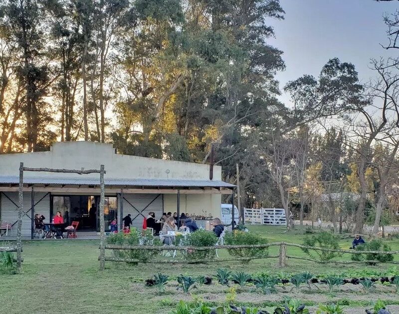 NgLuk2dUA 1200x630 1