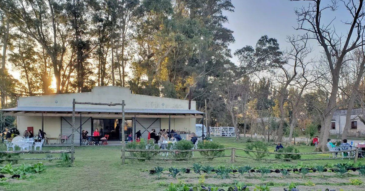 NgLuk2dUA 1200x630 1