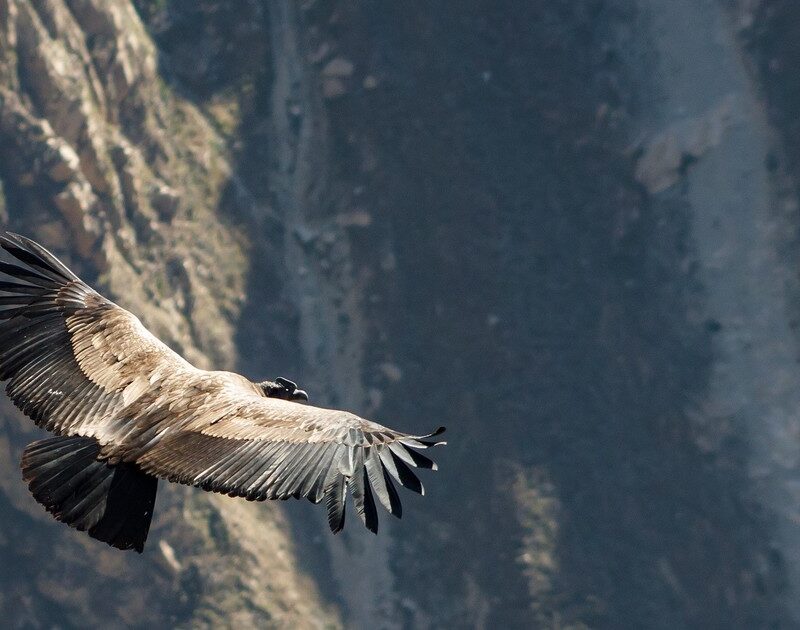 Nw4LEioEb 1200x630 1