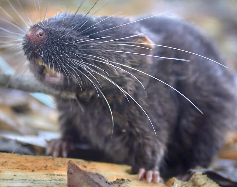 S3IT3WznO 1200x630 1