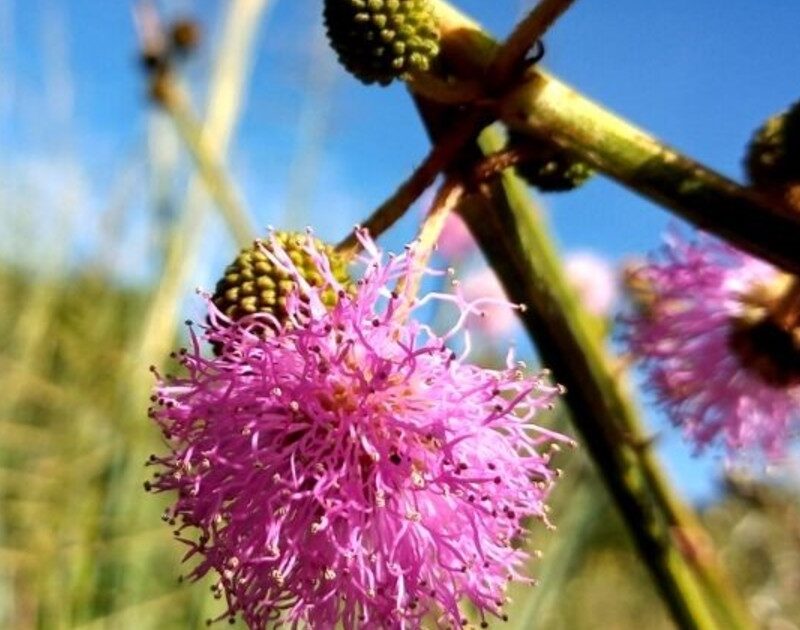 Xvesq5CGL 1200x630 1