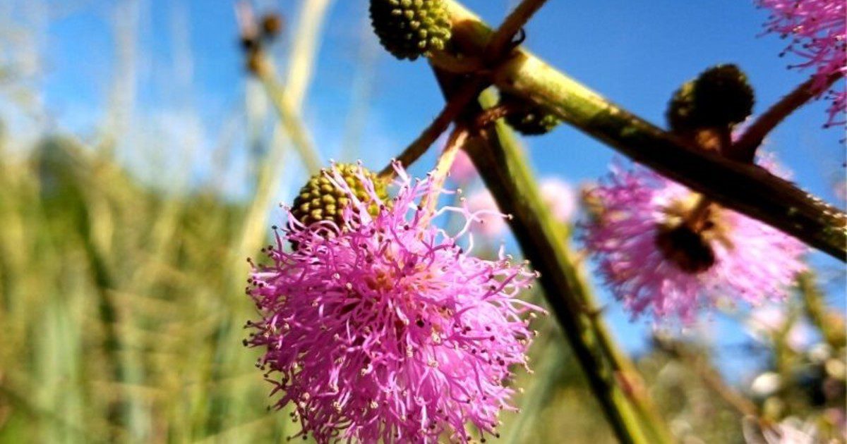 Xvesq5CGL 1200x630 1