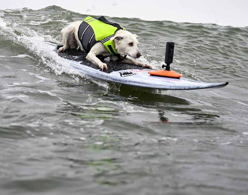 YTwnFwaob 1200x630 1