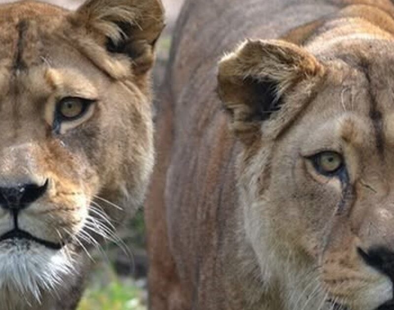 Zk4i6HXP9 1200x630 1