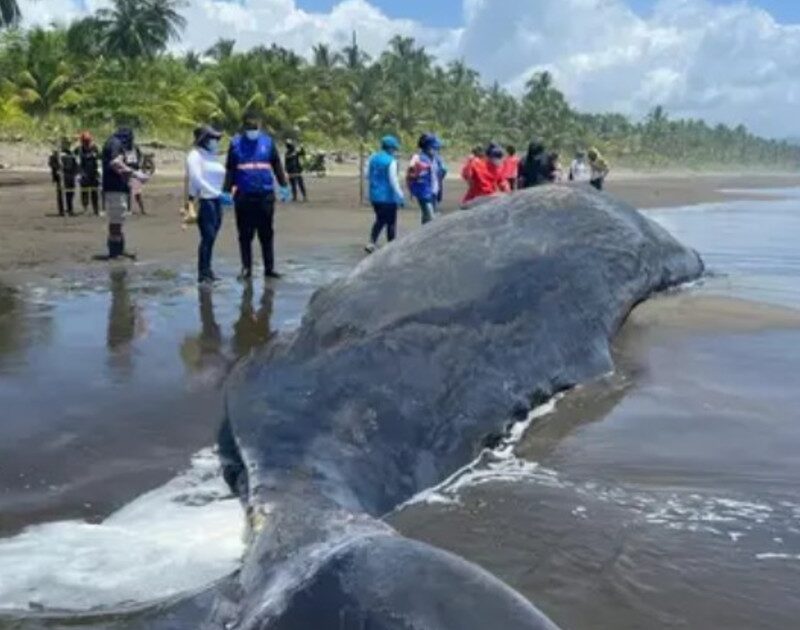 bKbt9je3y 1200x630 1