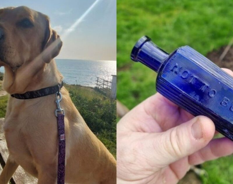 bf 3OVXBEH 1200x630 1