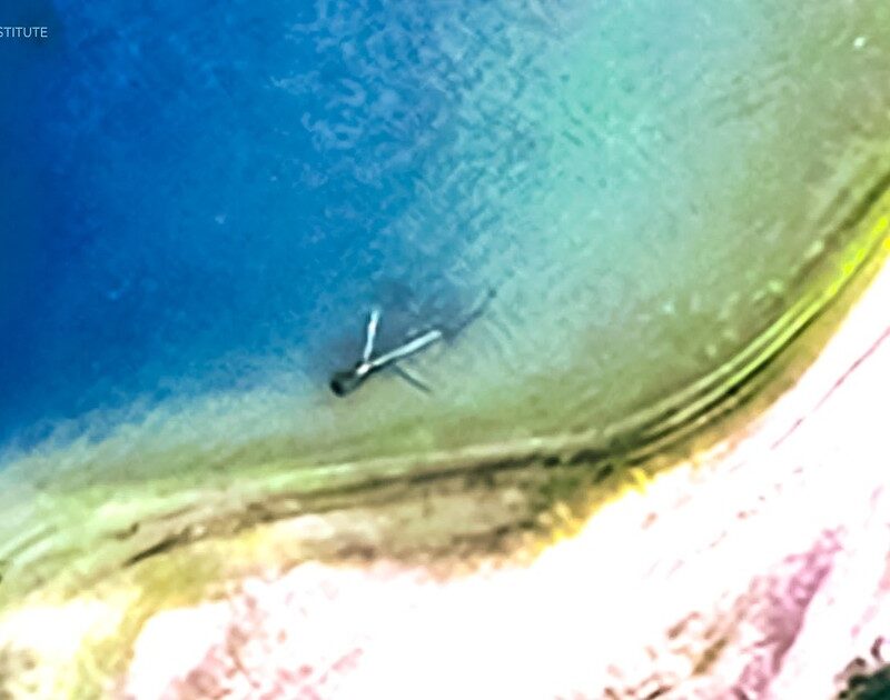 fo2CC8H8y 1200x630 1