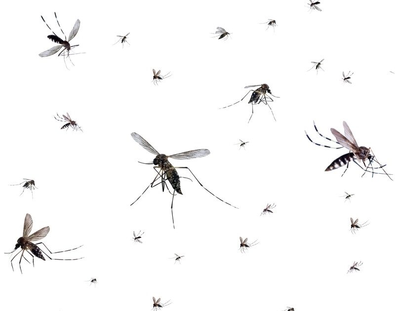 q6XuHs LD 1200x630 1