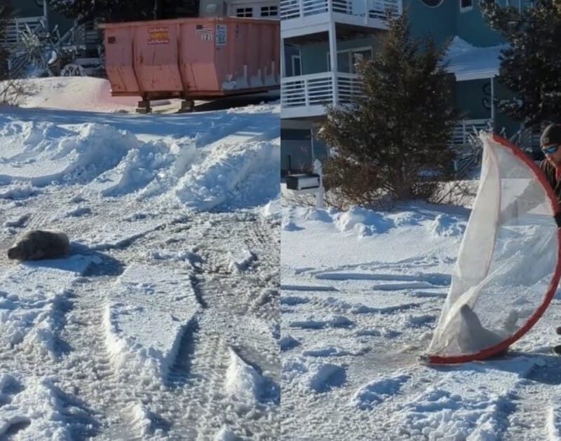 vDBV0HnYQ 1200x630 1