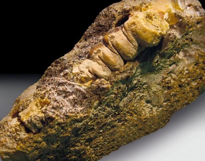 w8IOgBscG 1200x630 1