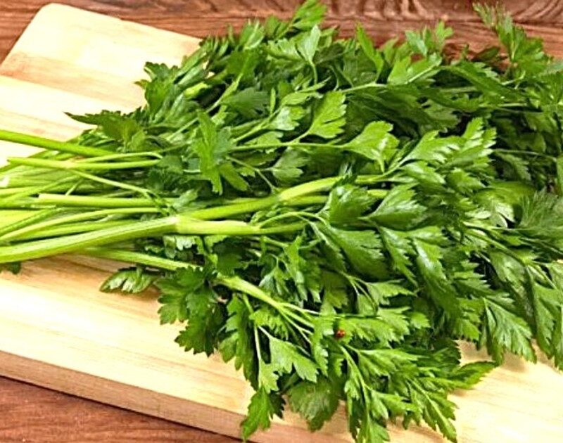 ykZIjzekQ 1200x630 1