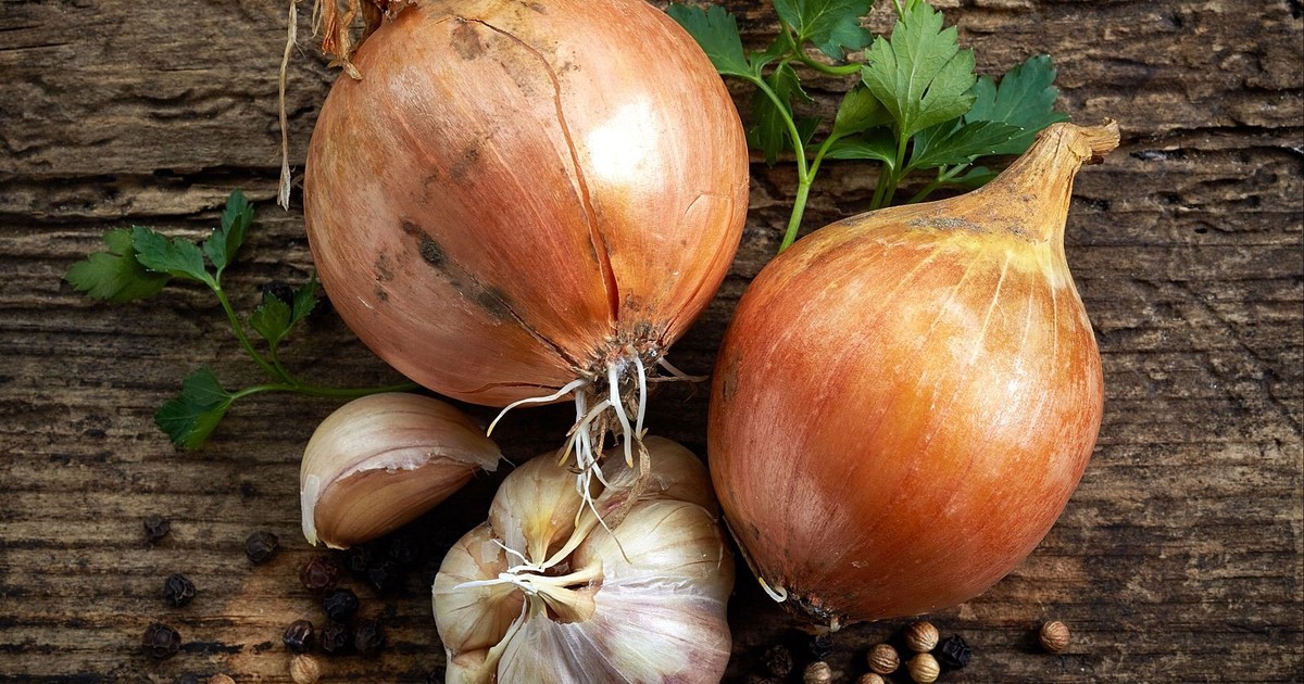 FQZAdMGyZ 1200x630 1