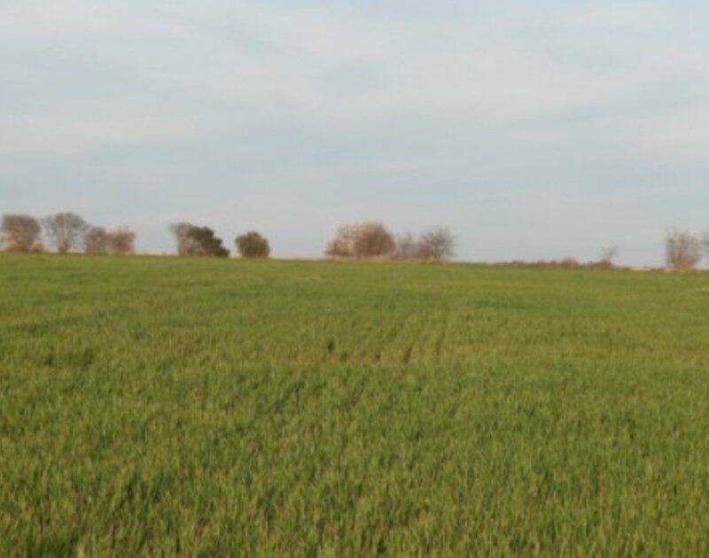 SOcooLy20 1200x630 1