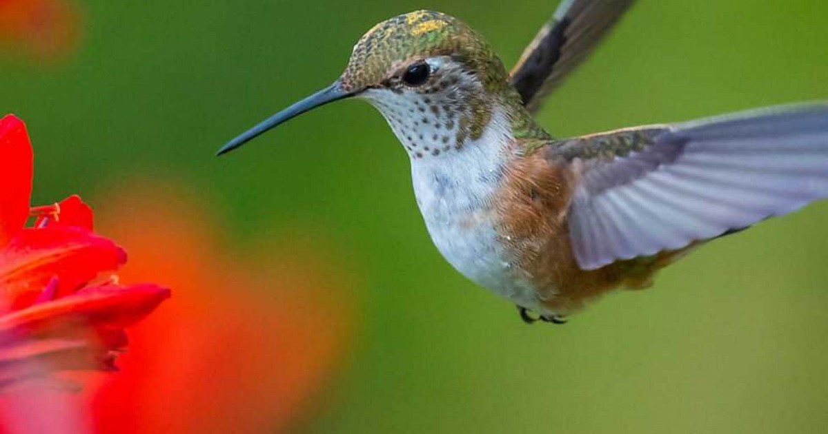 vlxIsX uQ 1200x630 1