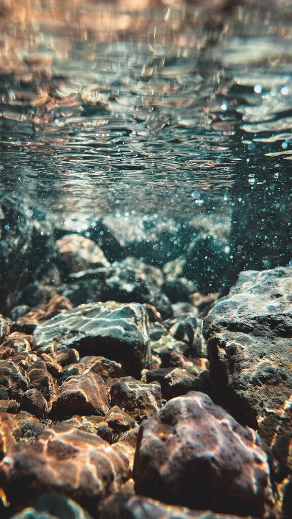 Agua Bendita Casera: Cómo Prepararla Para Protección y Sanación – imagen 2 Imagen relacionada con Agua Bendita Casera: Cómo Prepararla Para Protección y Sanación