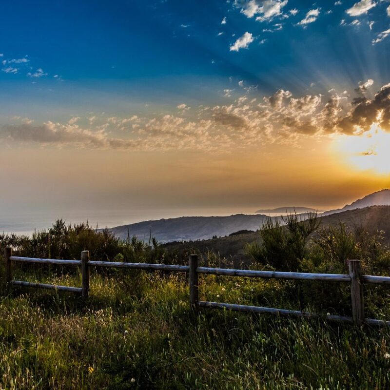 Imagen relacionada con Ecoterapia y conexión con la naturaleza