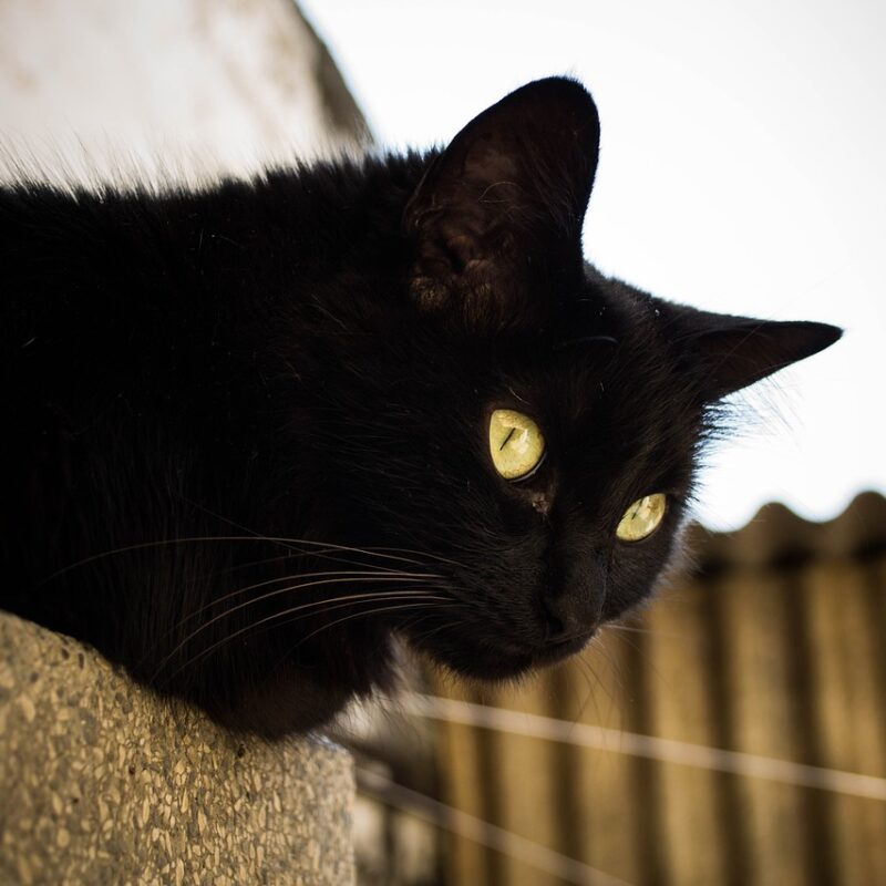 Imagen relacionada con El misterio espiritual de los déjà vu y su verdadero significado