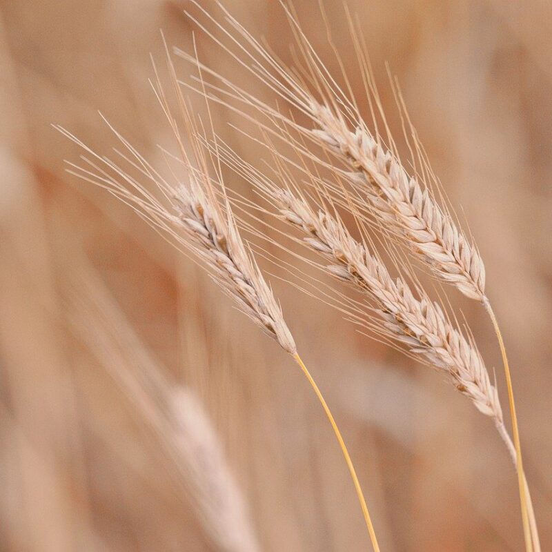 Imagen relacionada con Ver al dinero no solo como objeto material, sino como flujo energético