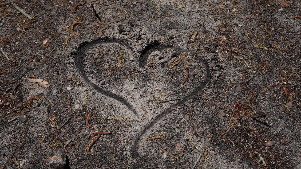 Imagen relacionada con 1111: Código para abrirse a nuevas oportunidades - Guía Agesta