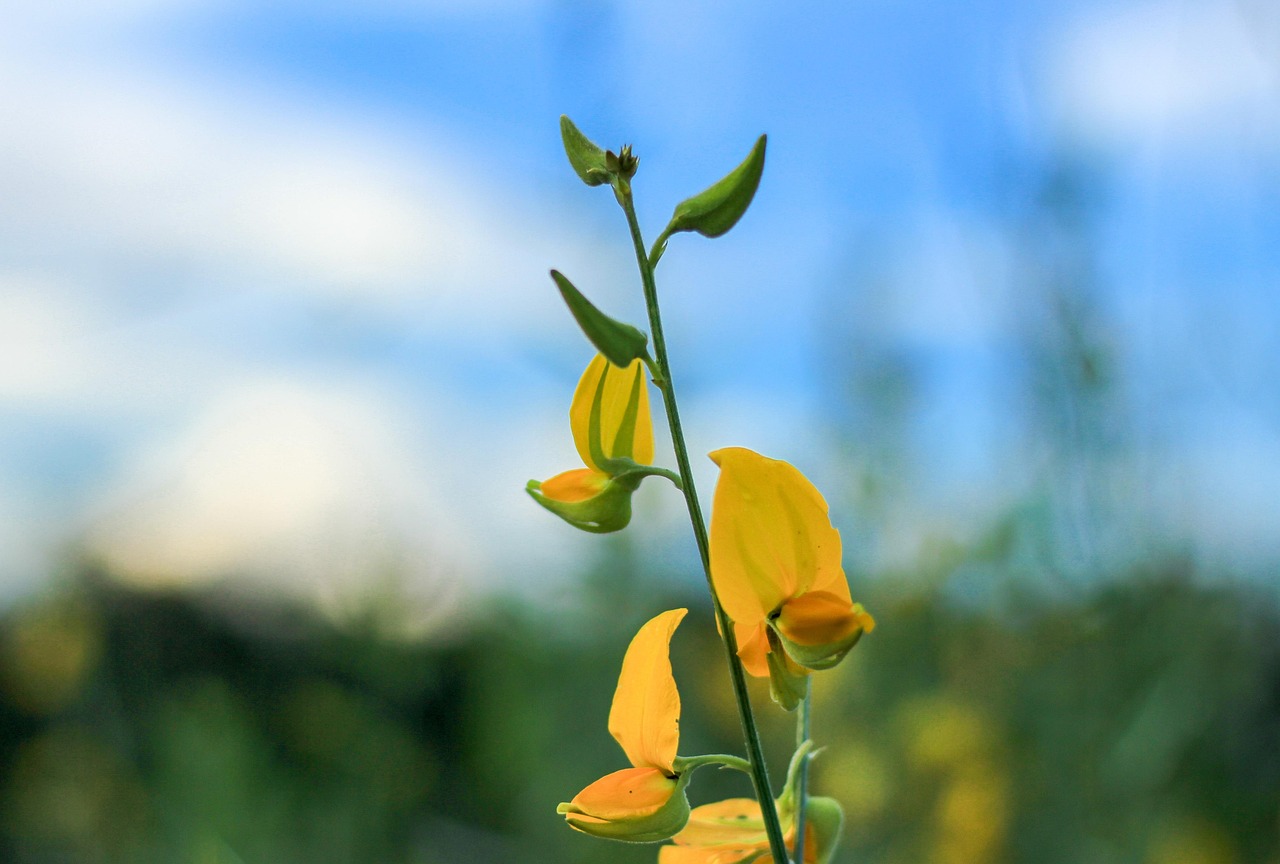 Imagen relacionada con ¿Cómo elevar la vibración en 5 minutos?