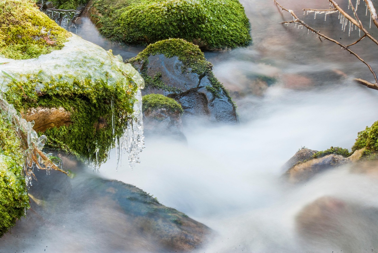 La rutina extrema de las 4 a.m. Baños de hielo, expresiones faciales locas y rituales mañaneros virales – imagen 1 Imagen relacionada con La rutina extrema de las 4 a.m. Baños de hielo, expresiones faciales locas y rituales mañaneros virales