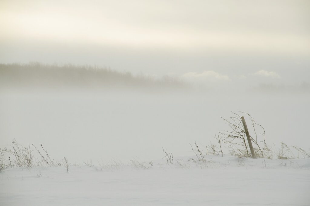Ráfaga ártica de esta semana que está a punto de batir récords en Estados Unidos ¿Profecías cumpliéndose? – imagen 3 Imagen relacionada con Ráfaga ártica de esta semana que está a punto de batir récords en Estados Unidos ¿Profecías cumpliéndose?