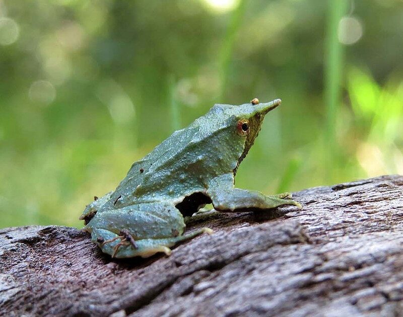 38kNk Zpa 1200x630 1