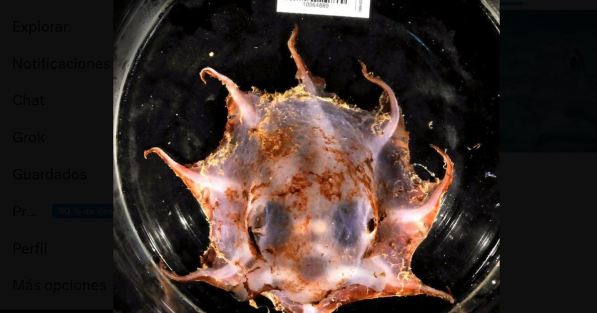 MeAiZUxW9 1200x630 1