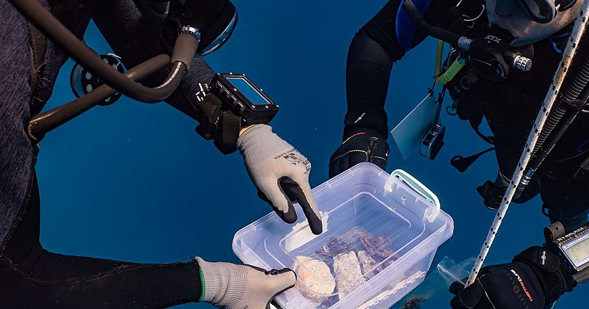 Mentor11 U40165512361lFK 1200x630@diario abc