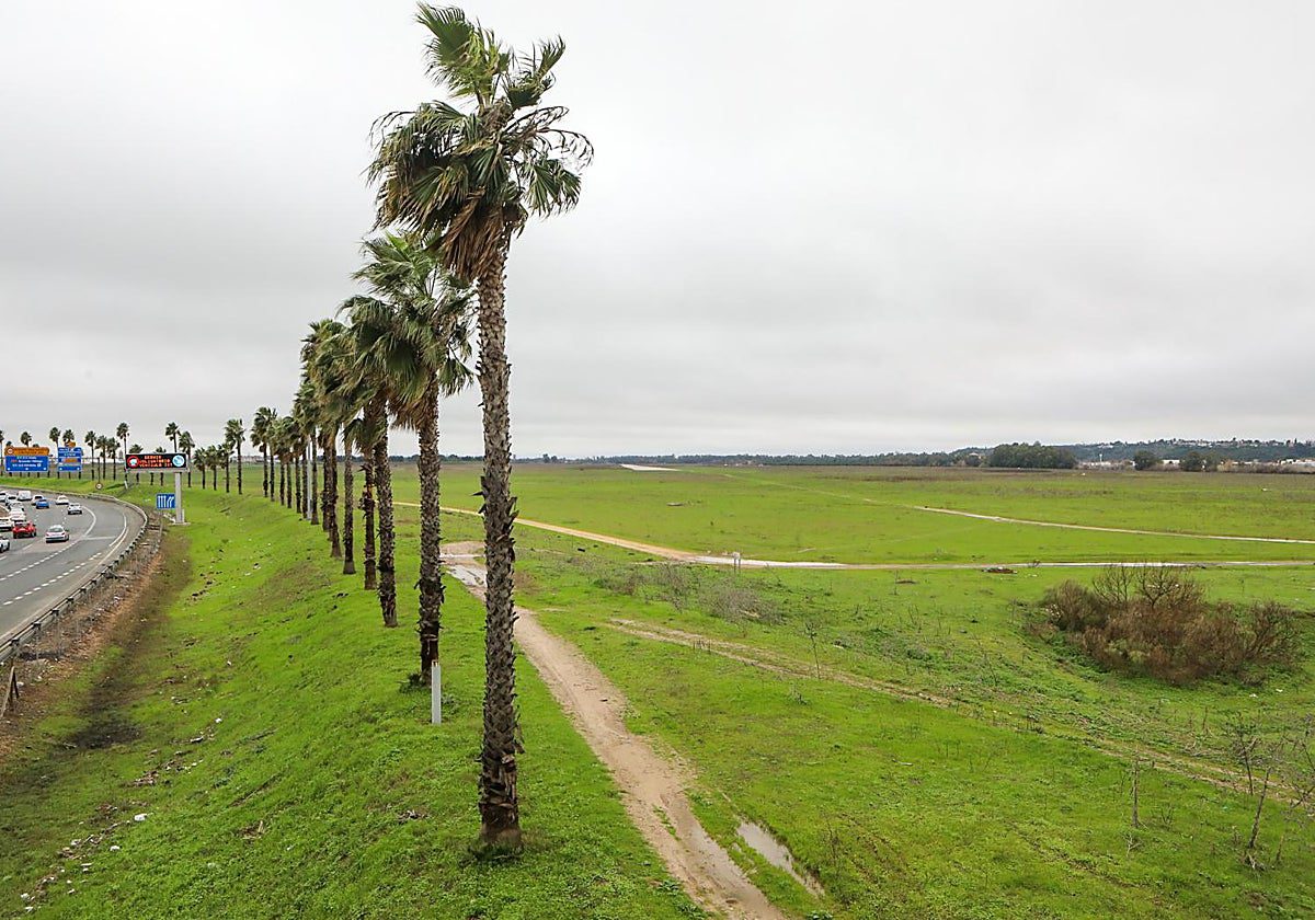 dehesa tablada verde RXqDkGTsrHagh2b0uRq3NZJ 1200x840@diario abc