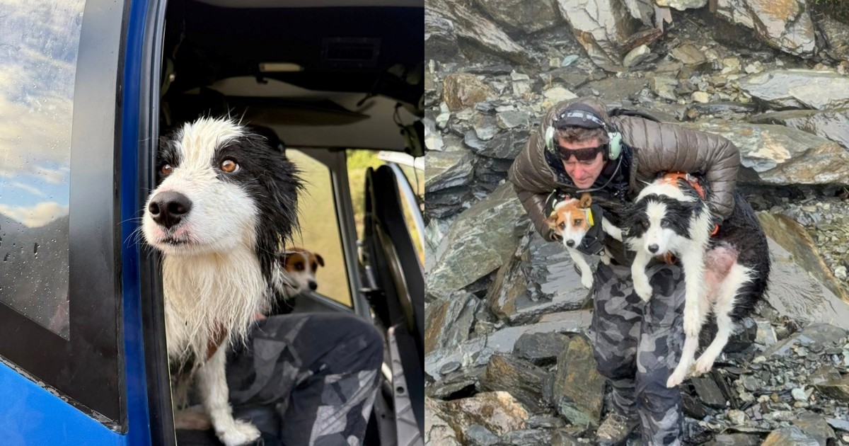 RgFx5tZPN 1200x630 1