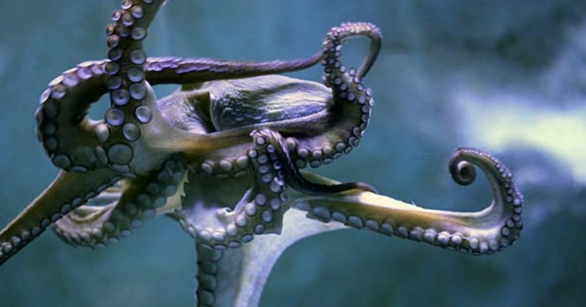 g6LMqw9EG 1200x630 1